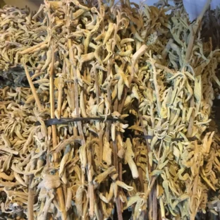 ada çayı