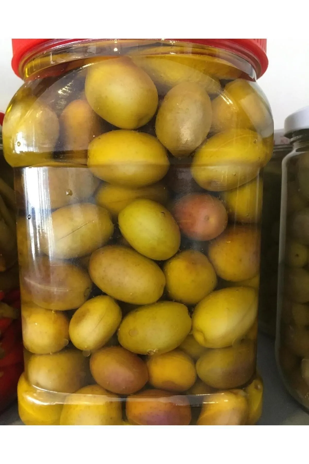 Milas Memecik Zeytini