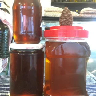 Çam bal